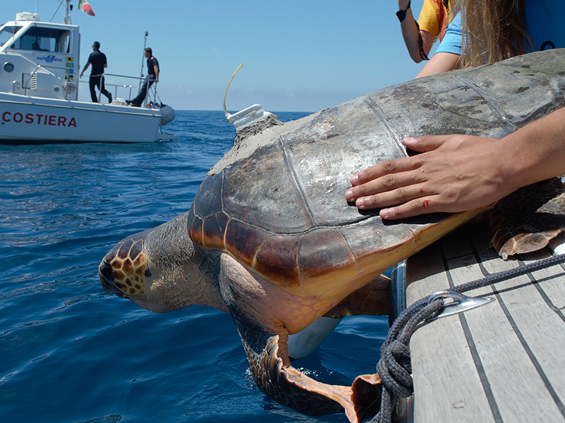 Appartaments in Liguria