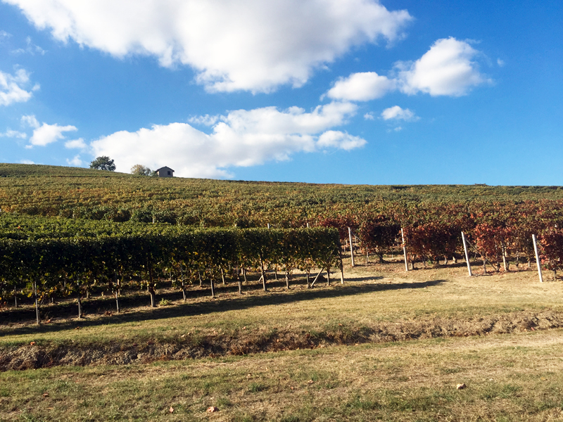 Appartaments in Liguria