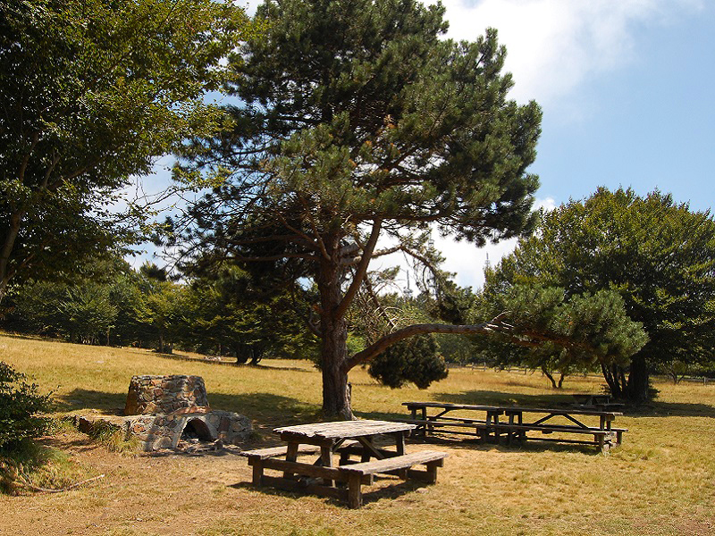 Appartaments in Liguria