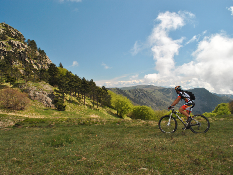 Appartaments in Liguria