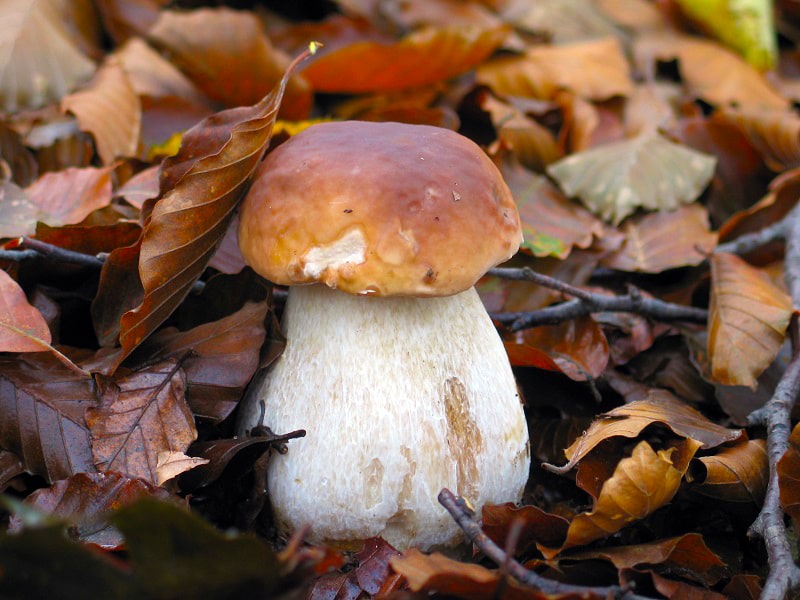 Appartaments in Liguria