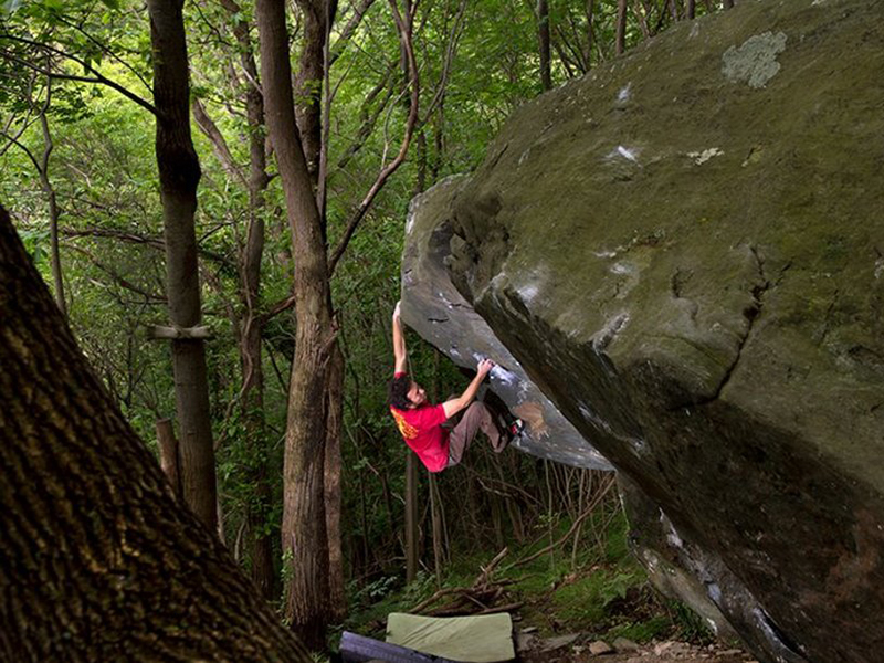 Appartaments in Liguria