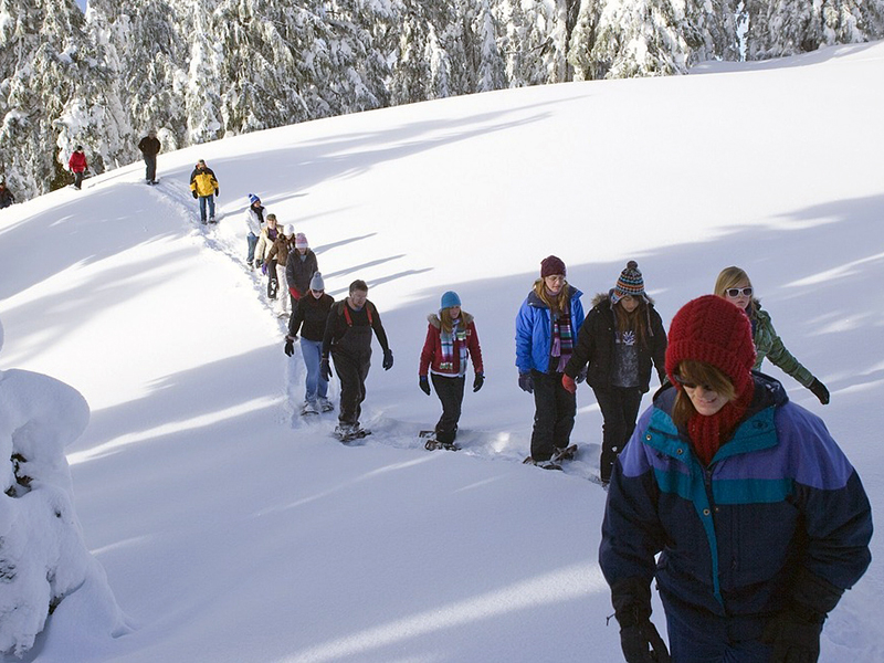 Appartaments in Liguria