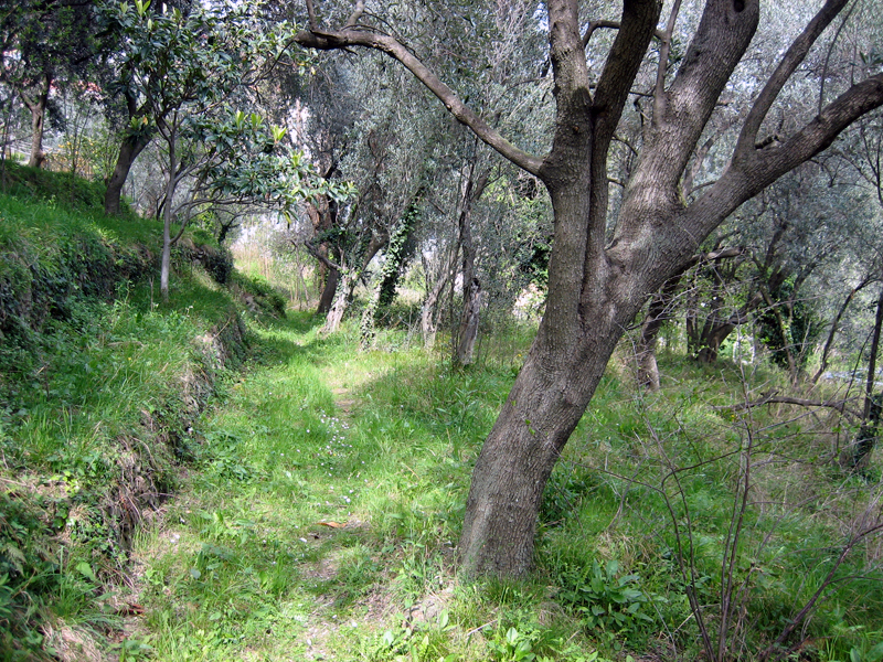 Appartaments in Liguria