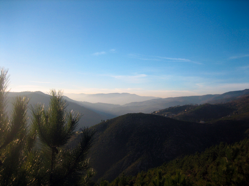 Appartaments in Liguria