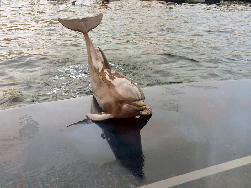 Appartaments in Liguria