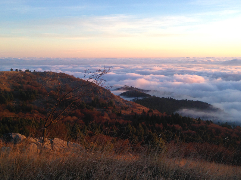 Appartaments in Liguria