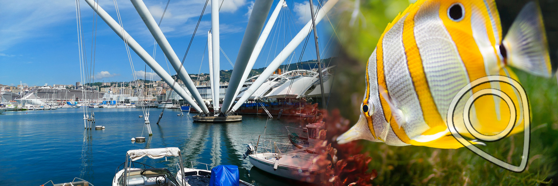 Appartaments in Liguria